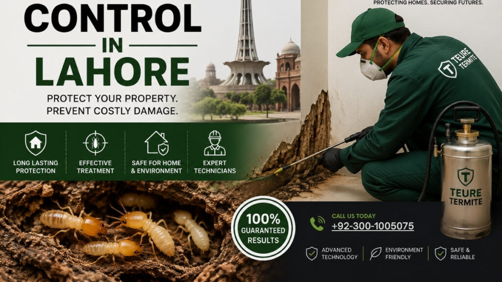 Termite Control in Lahore