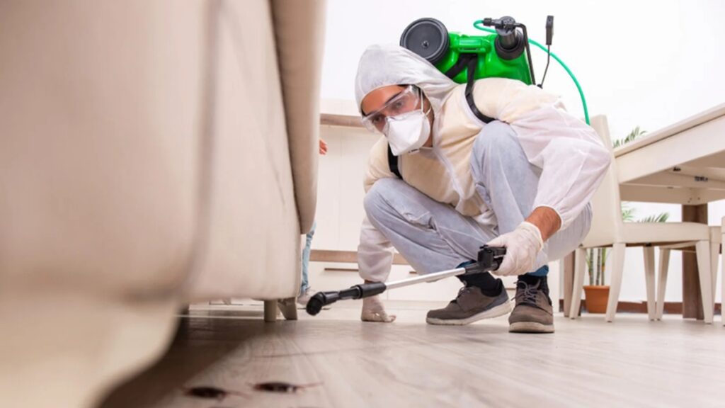 Best Pest Control