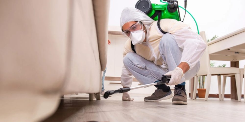 Best Pest Control